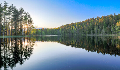 reflection in the lake