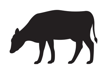 silhouette of a cow