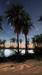 Obraz premium Palm trees silhouetted against the night sky with a body of water reflecting their image.