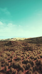 A desert landscape, with sparse grass peeking through barren sand, set against a clear blue sky.