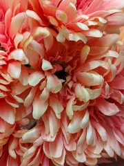 Vista de cerca de pétalos de flores de plástico en comercio
