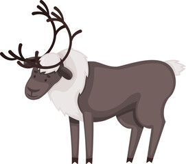 Cartoon reindeer character standing, a wild arctic animal
