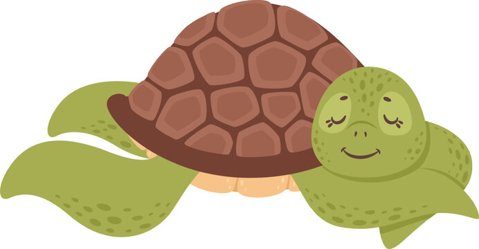 Cute cartoon sea turtle resting peacefully illustration