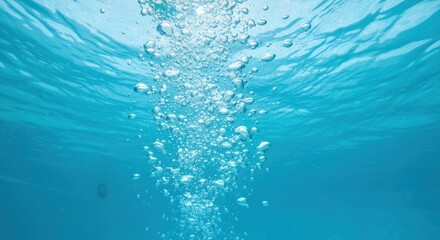 Obraz premium Underwater view; bubbles ascend towards the water's surface, light filtering through