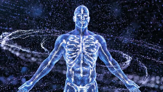 Human Anatomy and Nervous System in Blue Light, Digital Representation of Body Structure.
