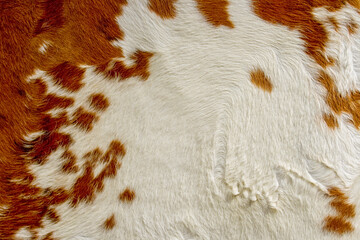 Red and white cow hide