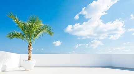 Bright terrace with palm tree under a clear blue sky Generative AI