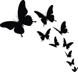 Swarm of black butterfly silhouettes flying in a curved path, isolated on white background, vector illustration of nature and freedom