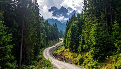 Road in the middle of the forest construction up to the mountain