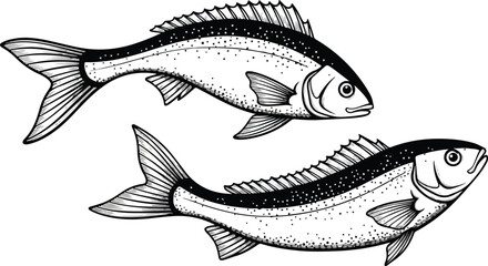 Detailed illustration of two fish swimming in opposite directions artistic design.