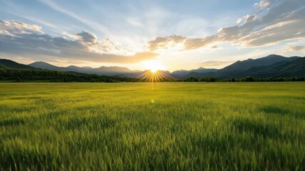 Sunset field mountain sky sunbeam green grass peaceful golden light over distant silhouette sunrise