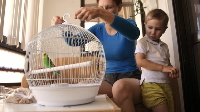 Mother and son caring for a pet budgerigar at home