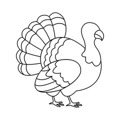 turkey vector illustration