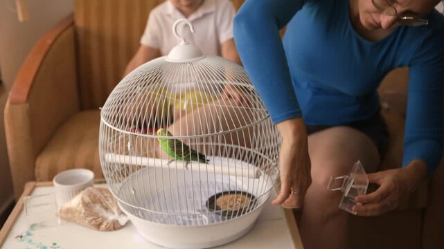Mother and son caring for a new pet parakeet at home