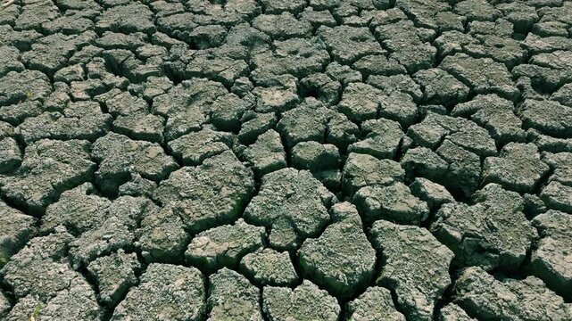 Close-up of erosion of soil in fields during drought, is impact of climate change on landscape. Ground is deeply cracked from prolonged drought. Arid, cracking earth is parched from lack of moisture