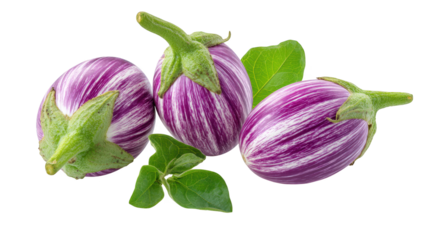 Three striped eggs rest among fresh green leaves purple and white eggs are adorned with vibrant green foliage