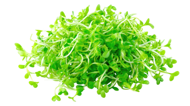 Pile of spel objects displayed in image generic collection of items forming a heap