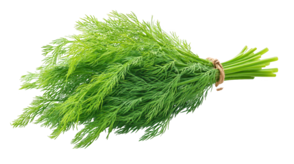 Dill sprigs arranged on a dark backdrop fresh green dill herb displayed against deep black surface