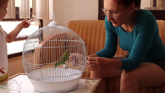 Mother and son feeding green budgerigar in cage