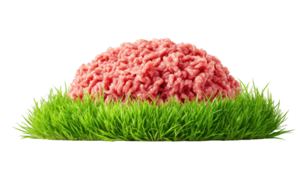 Ground beef pile rests on lush green outdoor grass uncooked ground beef forms small mound on fresh green grass