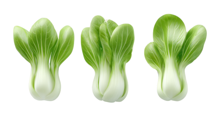 Three green onions stand on a plain dark background vibrant green onions arranged neatly on dark background