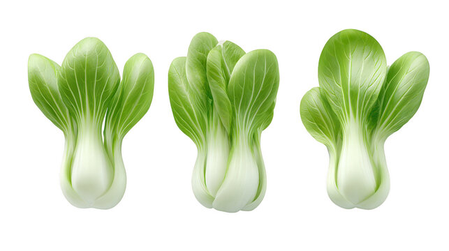 Three green onions stand on a plain dark background vibrant green onions arranged neatly on dark background