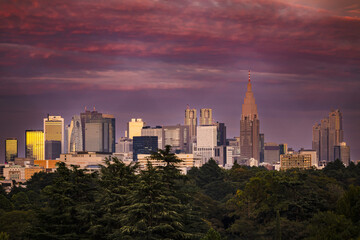 Obraz premium Fuji Moutain during the golden hour over Tokyo: panoramic view of Shinjuku skyline with Mount Fuji in the background, glowing in soft dawn light and colors above the city