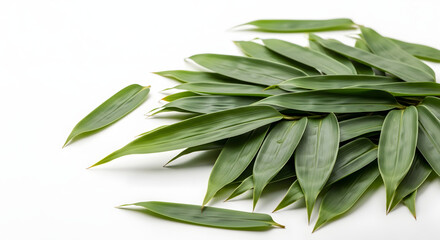 Fresh green bamboo leaves scattered on a clean white background, evoking nature and tranquility.