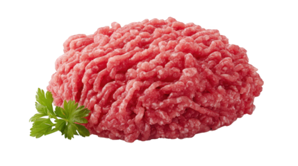Ground beef portion prepared with fresh parsley garnish close up of savory ground beef freshly seasoned with parsley