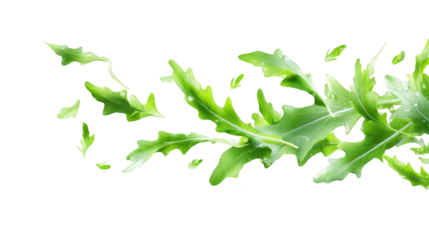 Lush green leaves fill frame contrasting dark background detailed view of vibrant green foliage against dark backdrop