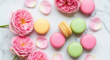Elegant parisian macaron and rose flat-lay background