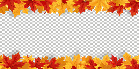 Autumn leaves frame with transparent background for seasonal designs