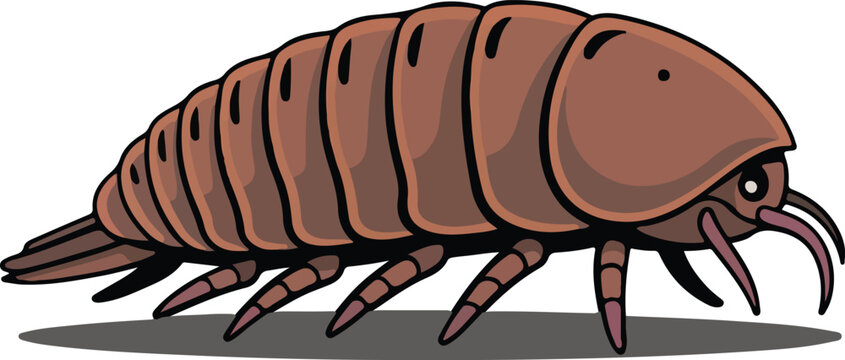 Brown woodlouse vector illustration isolated on a black background with a visible shadow underneath