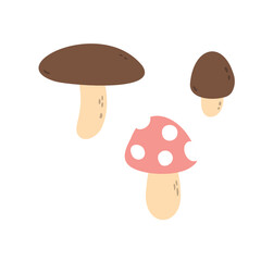 Illustration of three mushrooms with different shapes in forest scene. Fungi set and natural elements in group. Woodland mushrooms and varied caps. Flat vector art.