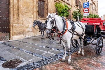 Horse Carriage. Traditional Horse and Cart at Cordoba Spain