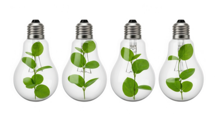 Four light bulbs with green plants isolated on transparent background