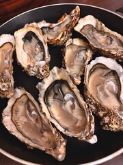 fresh oysters on the plate