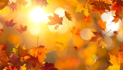 Maple leaves falling against a bokeh background of golden light, signaling a vibrant autumn scene