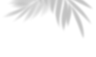 Semitransparent abstract shadow overlay