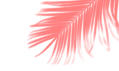 Abstract red brushstrokes on black