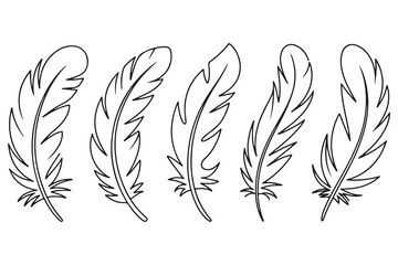 Minimal feather collection single line art illustration on white background
