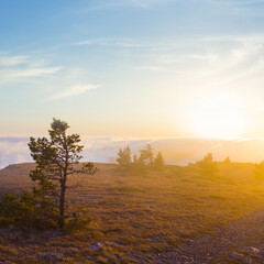 Obraz premium mountain plateau in dense mist and clouds at the sunset