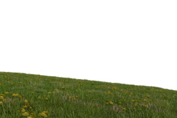 A vibrant green grassy hillside dotted with many yellow wildflowers, sharply contrasting with a solid black upper half, suggesting a cut-out or night scene
