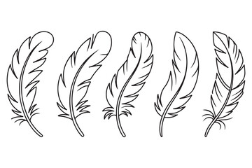 Obraz premium Minimal feather collection single line art illustration on white background 