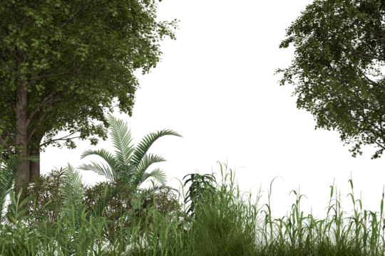 Lush green foliage tall trees, dense undergrowth, broad tropical leaves, and various grasses form a natural border element, isolated against a stark black background