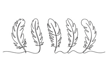 Minimal feather collection single line art illustration on white background
