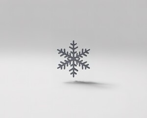 Stylized Gray Snowflake Icon with Subtle Shadow on White Background abstract cold