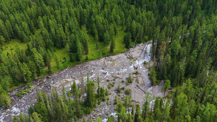 The Shavla River in the Altai Mountains in summer, as seen from a drone
