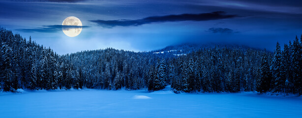 panorama of beautiful mountainous landscape in winter at night. spruce forest around the snow covered and frozen lake in full moon light. cold weather. background for fake news or conspiracy concepts
