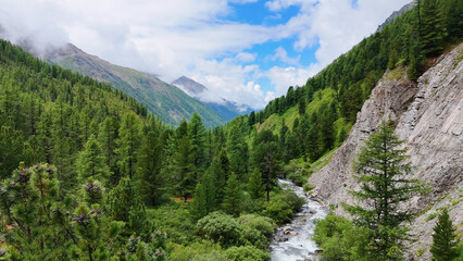 The Shavla River in the Altai Mountains in summer, as seen from a drone